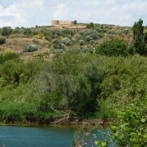 �lbum: ruta del meandre de Flix