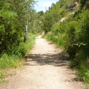 �lbum: ruta del meandre de Flix