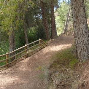 �lbum: ruta del meandre de Flix