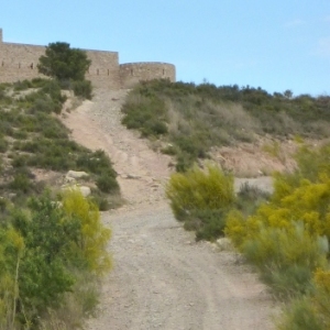 �lbum: ruta del meandre de Flix