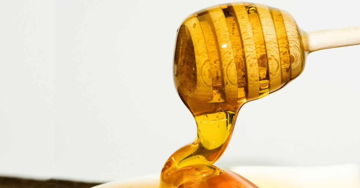 El Departament d’Agricultura impulsarà amb el sector apícola una marca col·lectiva que posi en valor la mel catalana | EbreActiu.cat, revista digital d’oci actiu | Terres de l’Ebre ... El Departament d’Agricultura impulsarà amb el sector apícola una marca col·lectiva que posi en valor la mel catalana | EbreActiu.cat, revista digital d’oci actiu | Terres de l’Ebre ...