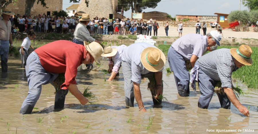 Ms de 200 persones participen en el tercer Maridatge de sensacions a l’Aldea | EbreActiu.cat, revista digital d’oci actiu | Terres de l’Ebre ...