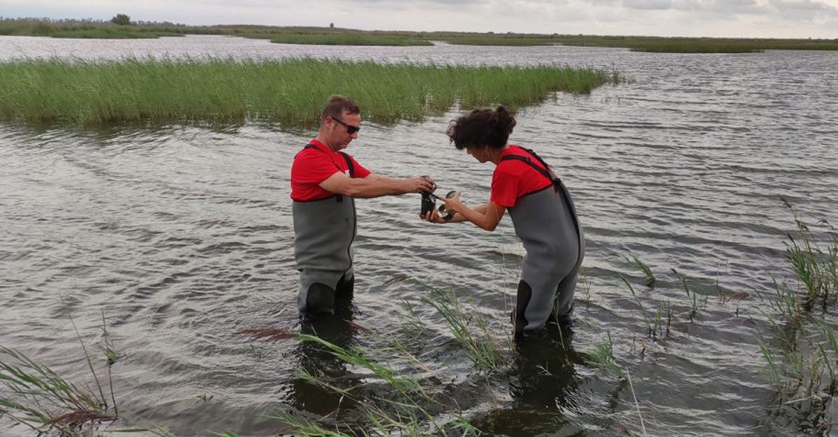 Els microplstics del delta de l’Ebre es mesuraran amb un sistema d’intelligncia artificial