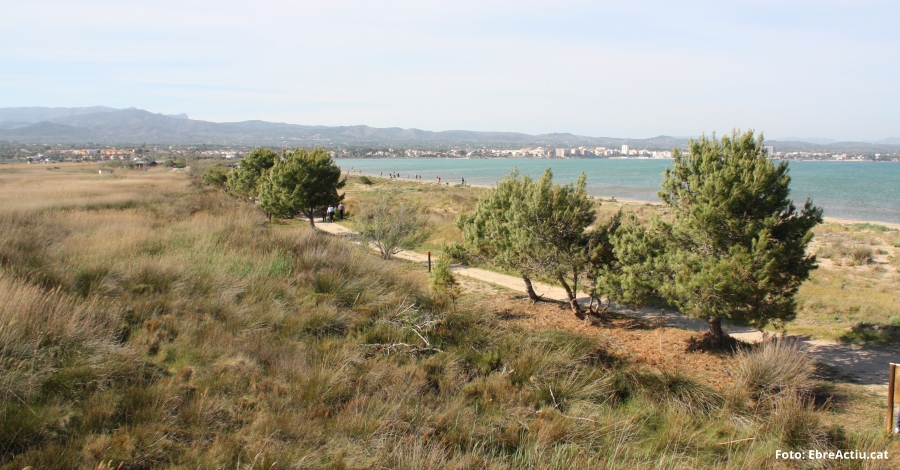 Els beneficis per a la salut de viure prop de la natura | EbreActiu.cat, revista digital d’oci actiu | Terres de l’Ebre ...