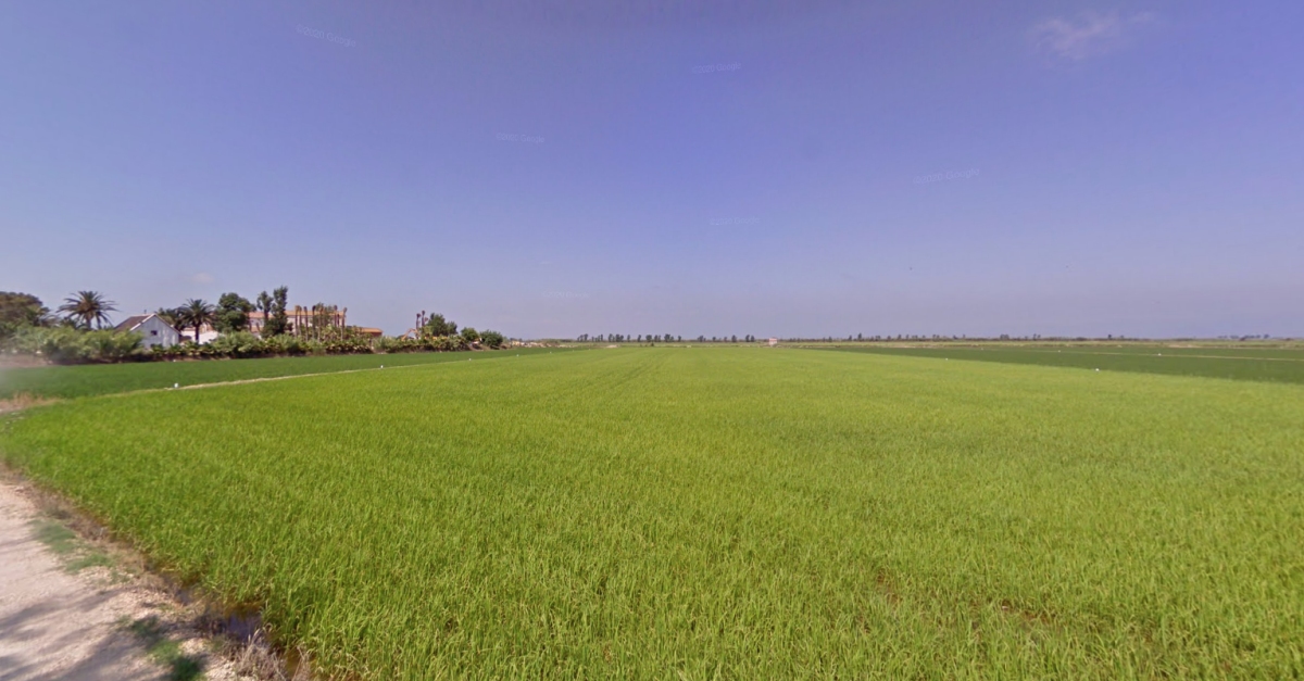 El Ministeri per a la Transici Ecolgica descarta cedir la finca de Bombita a l’Ajuntament de Deltebre