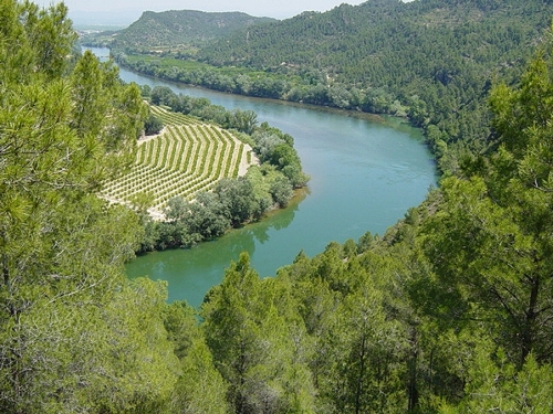 Mirandes de l�Ebre. Un riu de paisatges
