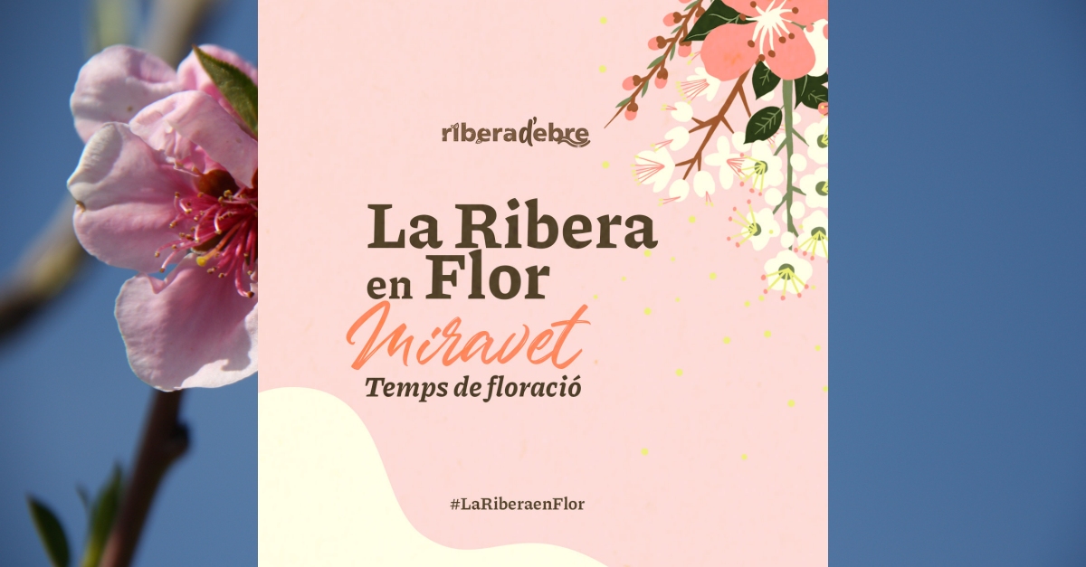 Miravet, tiempo de floraci�n  #LaRiberaenFlor
