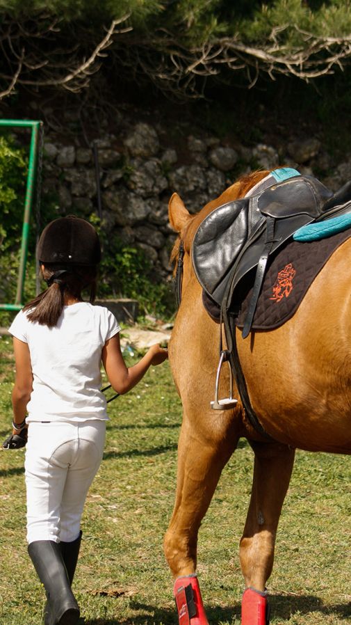 Mol� Hospital | EbreActiu.cat, revista digital d&rsquo;oci actiu | Terres de l&rsquo;Ebre ...