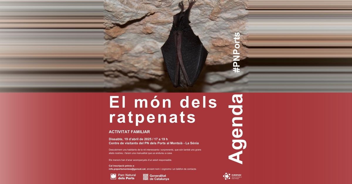 El m�n dels ratpenats