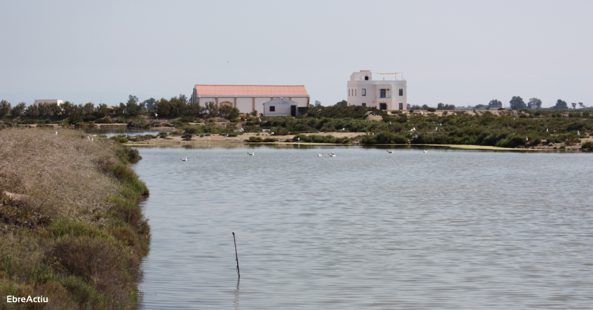 M�nNatura Delta de l&rsquo;Ebre reobre les seves portes el 17 de juliol | EbreActiu.cat, revista digital d&rsquo;oci actiu | Terres de l&rsquo;Ebre ...