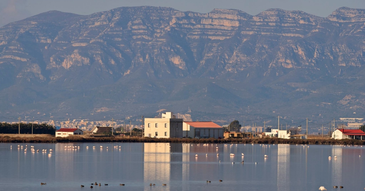 MNNATURA DELTA