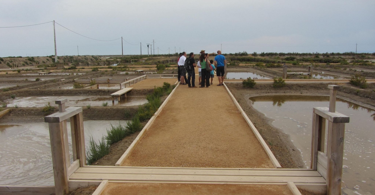 M�NNATURA DELTA | EbreActiu.cat, revista digital de ocio activo | Terres de l&rsquo;Ebre...