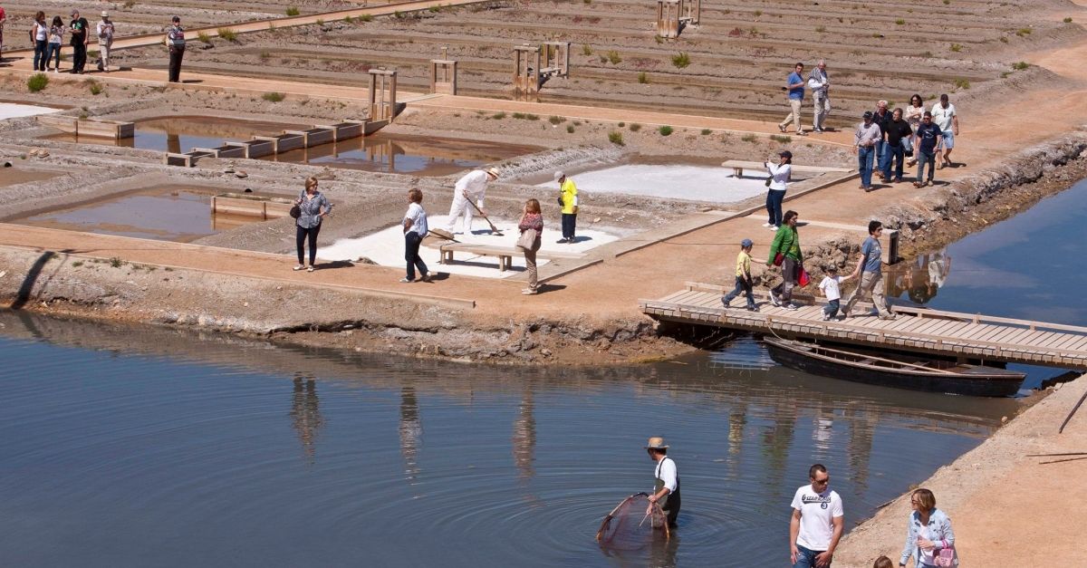 M�NNATURA DELTA | EbreActiu.cat, revista digital de ocio activo | Terres de l&rsquo;Ebre...