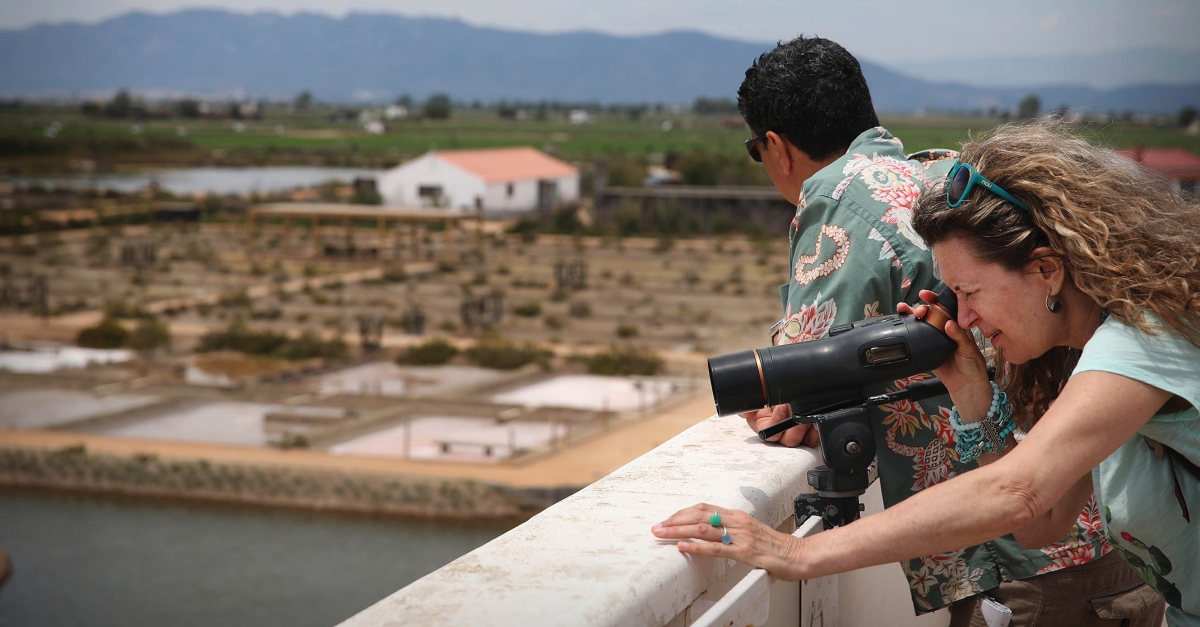 M�nNatura Delta engega la desena temporada amb propostes per gaudir en fam�lia de l&rsquo;entorn natural | EbreActiu.cat, revista digital d&rsquo;oci actiu | Terres de l&rsquo;Ebre ...
