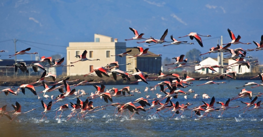 MnNatura Delta engega la vuitena temporada amb noves activitats ornitolgiques i familiars