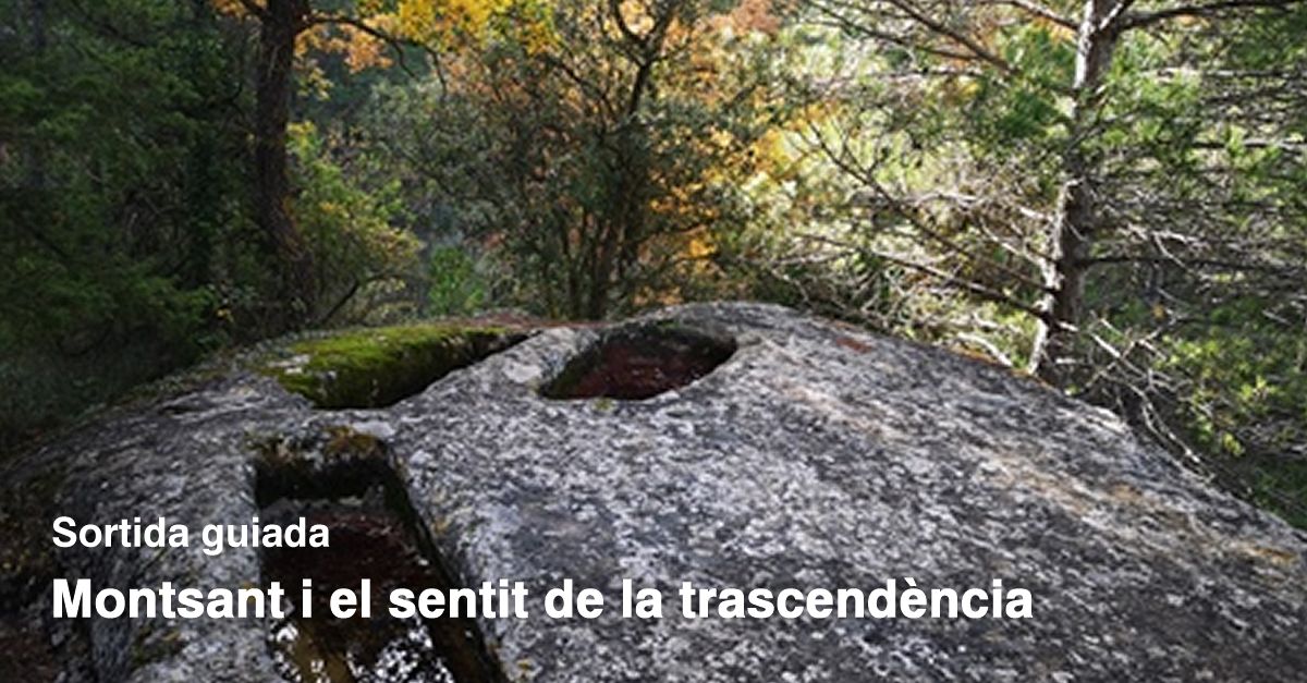 Sortida guiada: Montsant i el Sentit de la trascend�ncia