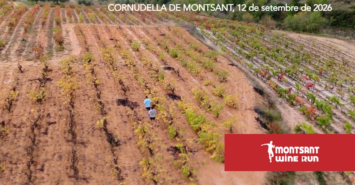 Montsant Wine Run Montsant Wine Run