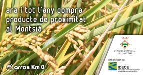 Montsi�: Arroz Km 0