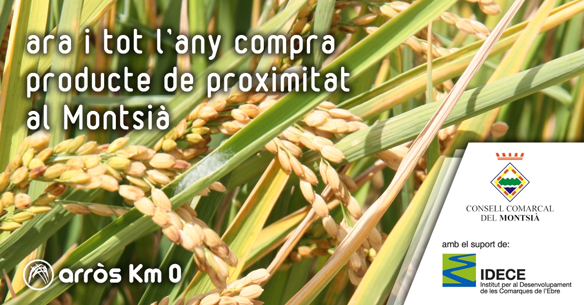 Montsià: Arròs Km 0 | EbreActiu.cat, revista digital d’oci actiu | Terres de l’Ebre ... Montsià: Arròs Km 0 | EbreActiu.cat, revista digital d’oci actiu | Terres de l’Ebre ...
