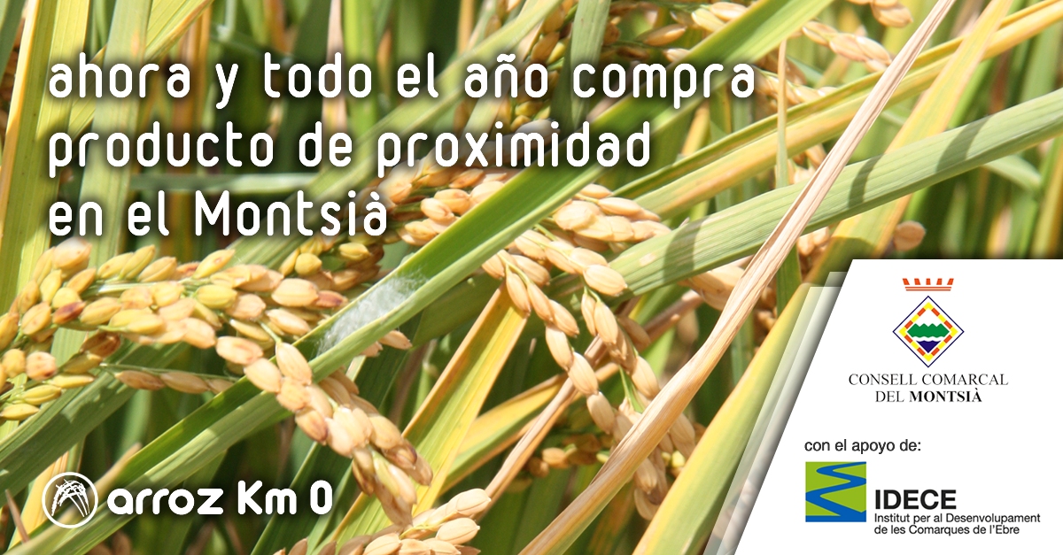 Montsià: Arroz Km 0 | EbreActiu.cat, revista digital de ocio activo | Terres de l’Ebre... Montsià: Arroz Km 0 | EbreActiu.cat, revista digital de ocio activo | Terres de l’Ebre...