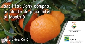 Montsi�: C�tricos Km 0