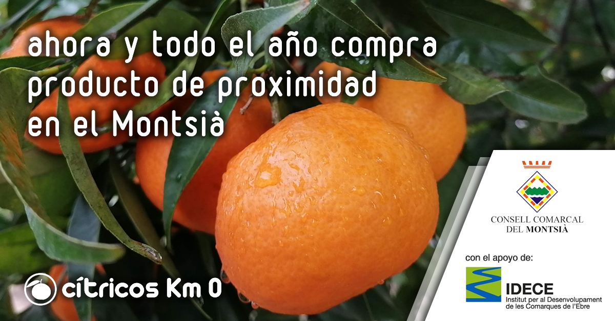 Montsià: Cítricos Km 0 | EbreActiu.cat, revista digital de ocio activo | Terres de l’Ebre... Montsià: Cítricos Km 0 | EbreActiu.cat, revista digital de ocio activo | Terres de l’Ebre...