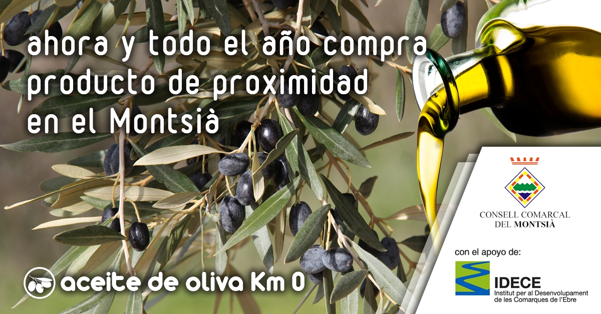 Montsià: Aceite de oliva Km 0 | EbreActiu.cat, revista digital de ocio activo | Terres de l’Ebre... Montsià: Aceite de oliva Km 0 | EbreActiu.cat, revista digital de ocio activo | Terres de l’Ebre...