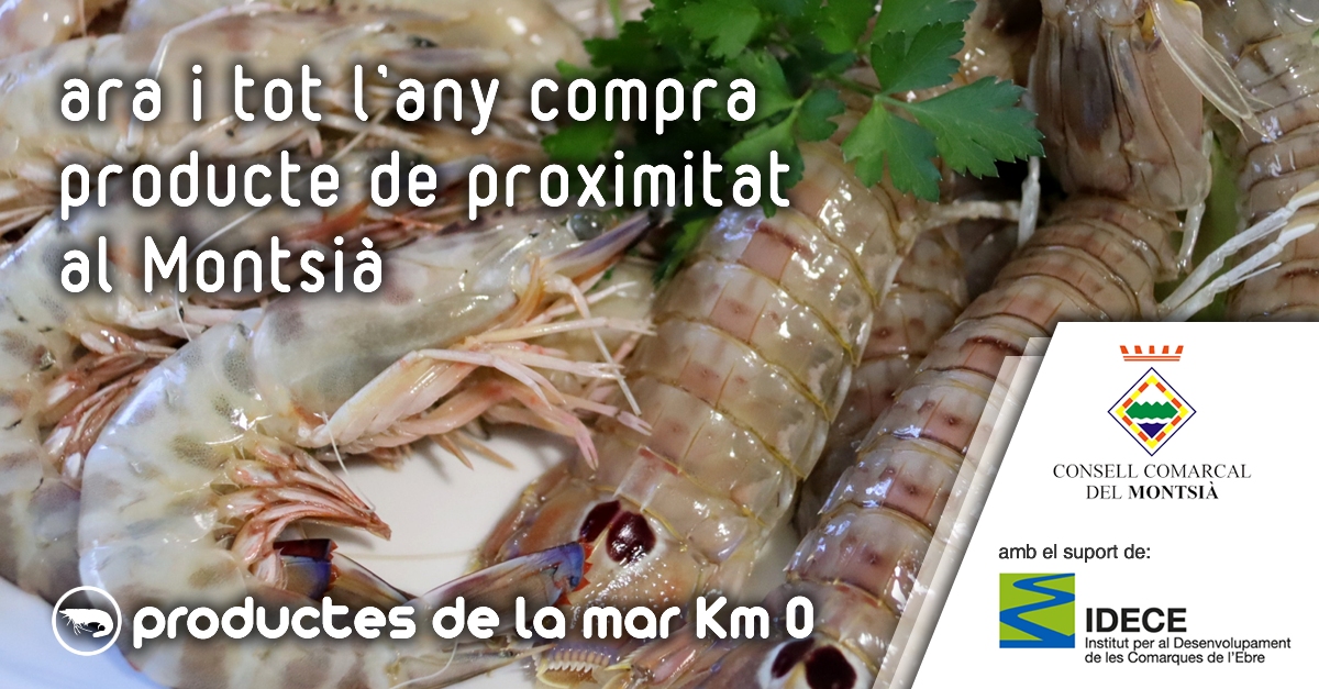 Montsià: Productes de la mar Km 0 | EbreActiu.cat, revista digital d’oci actiu | Terres de l’Ebre ... Montsià: Productes de la mar Km 0 | EbreActiu.cat, revista digital d’oci actiu | Terres de l’Ebre ...