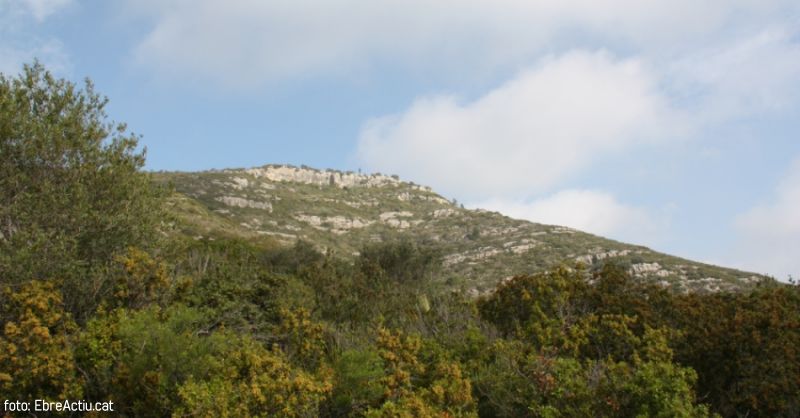 Ruta: Montsianell per tres itineraris