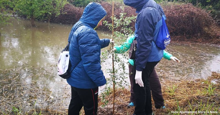 Móra la Nova recupera una bassa temporal de gran interès biològic | EbreActiu.cat, revista digital d’oci actiu | Terres de l’Ebre ... Móra la Nova recupera una bassa temporal de gran interès biològic | EbreActiu.cat, revista digital d’oci actiu | Terres de l’Ebre ...