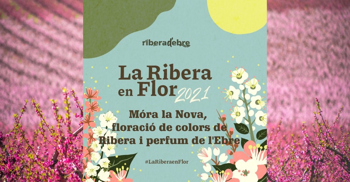 M�ra la Nova, floraci�n de colores de Ribera y perfum del Ebro #LaRiberaenFlor