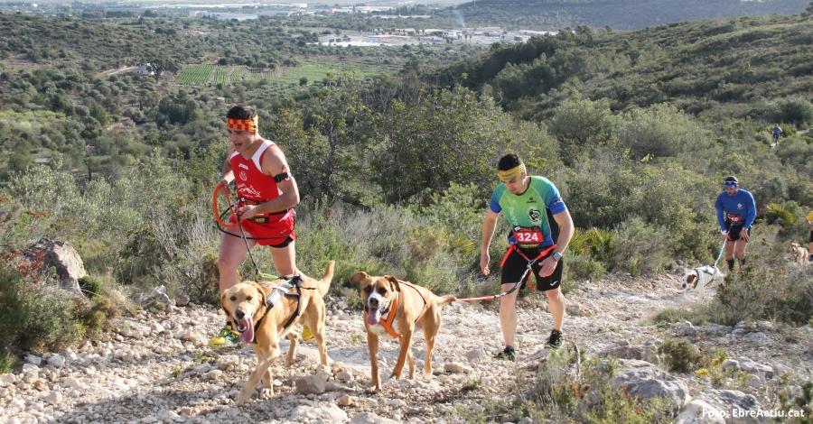 L&rsquo;entrega de premis del Circuit de Curses per Muntanya es far� a M�ra d&rsquo;Ebre | EbreActiu.cat, revista digital d&rsquo;oci actiu | Terres de l&rsquo;Ebre ...