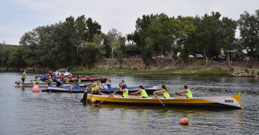 La Festa del Riu de Mra dEbre tanca la temporada de regates de muletes a la Ribera