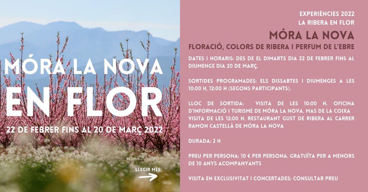 Móra la Nova en flor Móra la Nova en flor