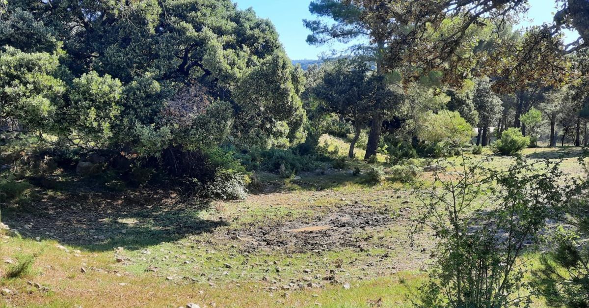 Morella vol crear una reserva de fauna a Vallivana per a protegir a una espcie que t ms de 250 milions danys