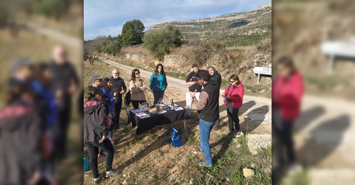 Muntanyes de vi. Ruta guiada amb tast de vins Muntanyes de vi. Ruta guiada amb tast de vins
