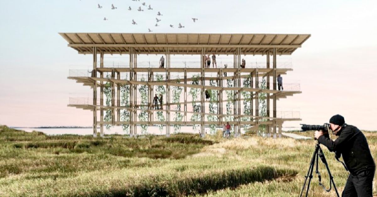 El projecte Musclera Vertical guanya el concurs per dissenyar un nou mirador al Canal Vell del parc natural del delta