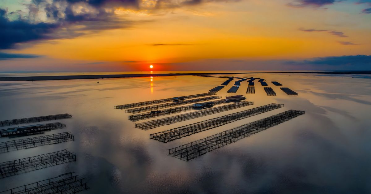 El cicle Albades i vesprades cantades torna al Delta de l&rsquo;Ebre per rebre el sol cantant enmig del mar | EbreActiu.cat, revista digital d&rsquo;oci actiu | Terres de l&rsquo;Ebre ...