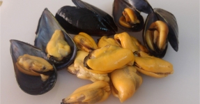 Montsi�: Productes de la mar Km 0