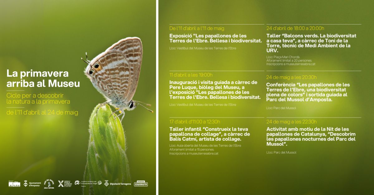 Exposici Les papallones de les Terres de lEbre. Bellesa i biodiversitat