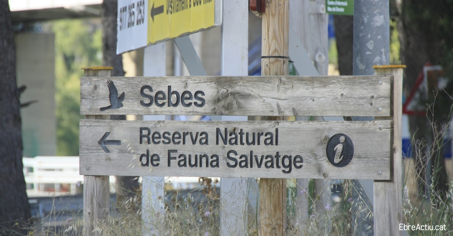 La Reserva Natural de Sebes treballa amb la reintroducci� de la cigonya blanca a les Terres de l�Ebre