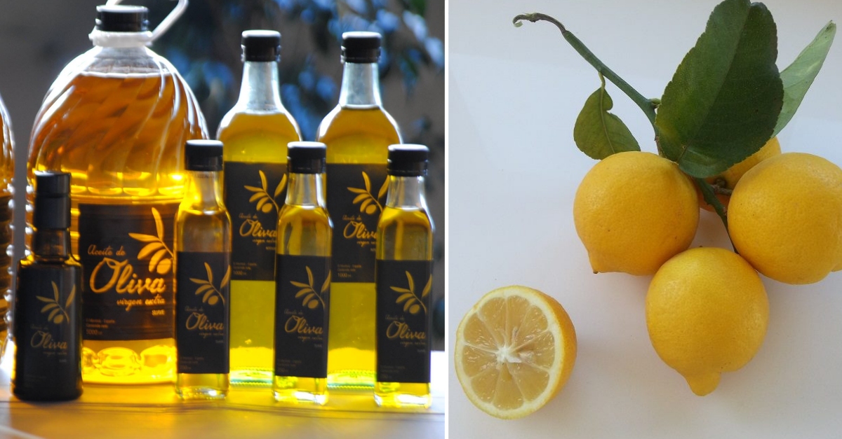 Naranjas y Ctricos Gourmet  | EbreActiu.cat, revista digital d’oci actiu | Terres de l’Ebre ...