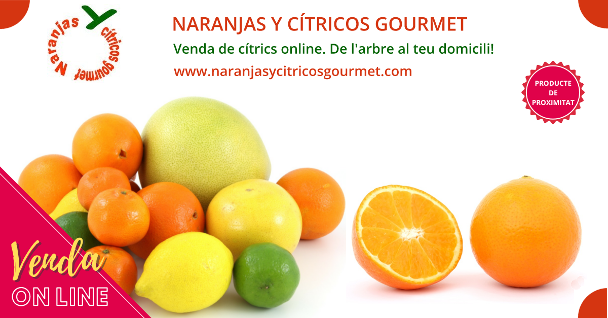 NARANJAS Y CTRICOS GOURMET