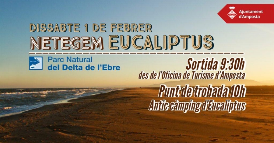 Netegem la platja d&rsquo;Eucaliptus