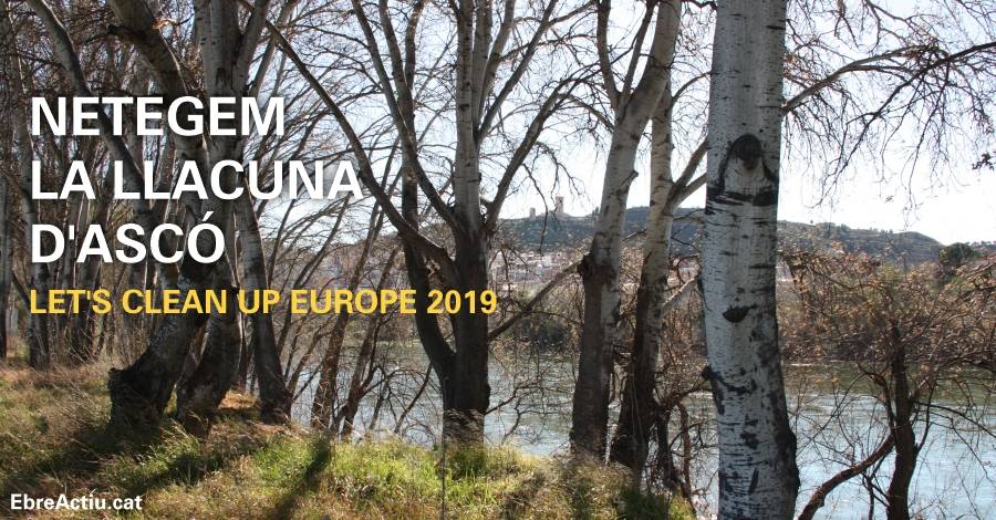 Netegem la llacuna d�Asc�
