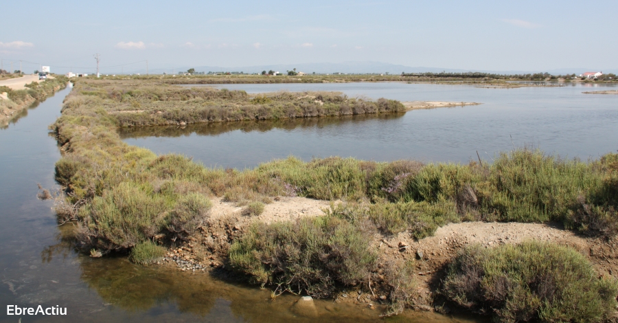 Jornada de voluntariado: Retirada de pl�sticos a las antiguas salinas de Sant Antoni