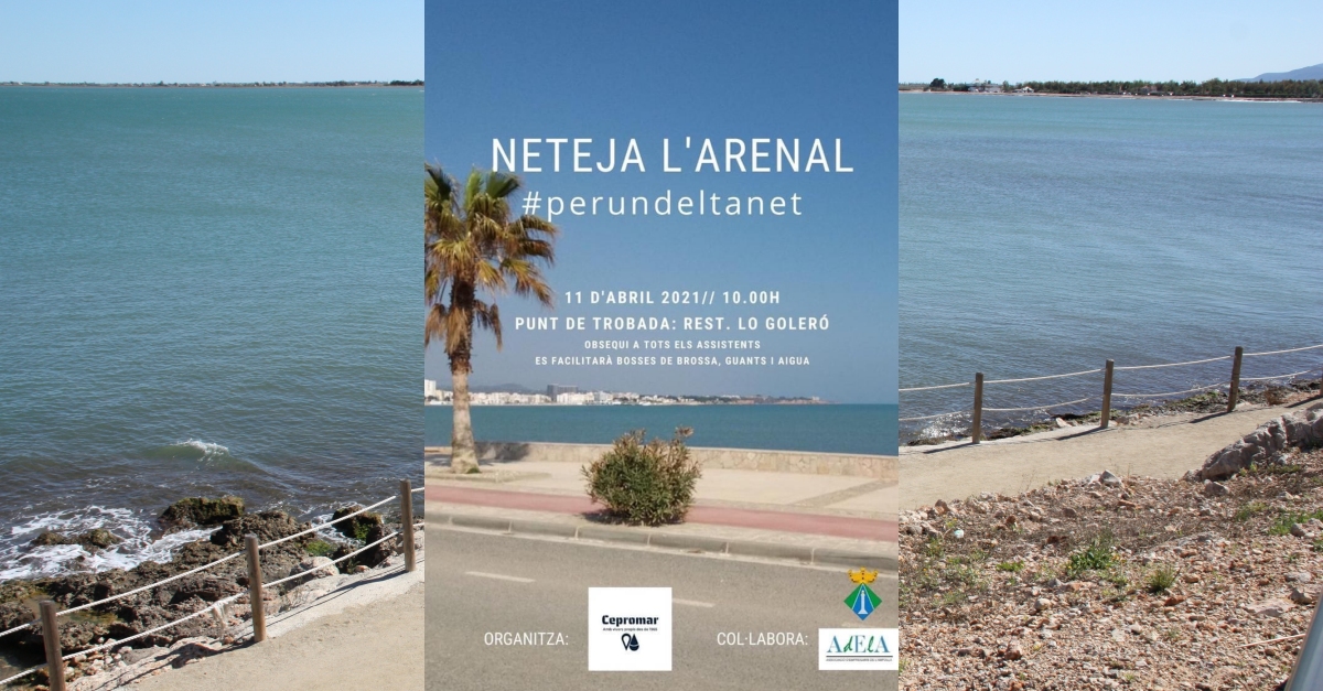 Acci�n de limpieza del Arenal