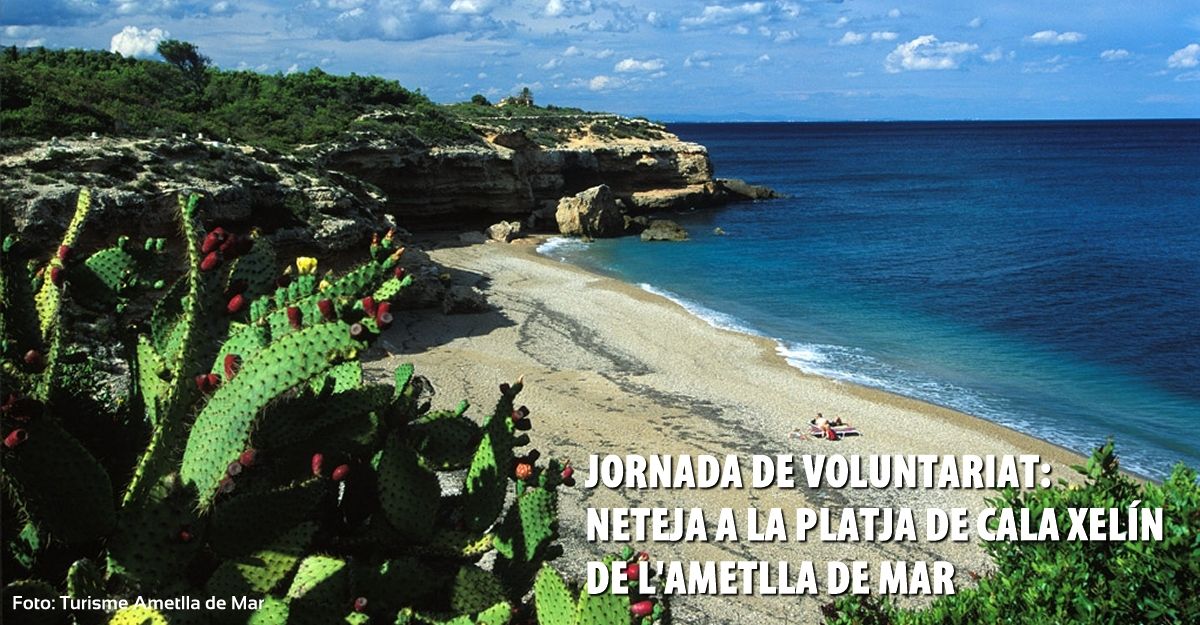 Jornada de neteja a la platja de Cala Xel�n