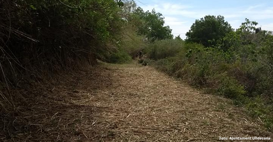 Ulldecona enllesteix ladequaci i neteja del cam fluvial del riu Snia al pas pel seu terme municipal