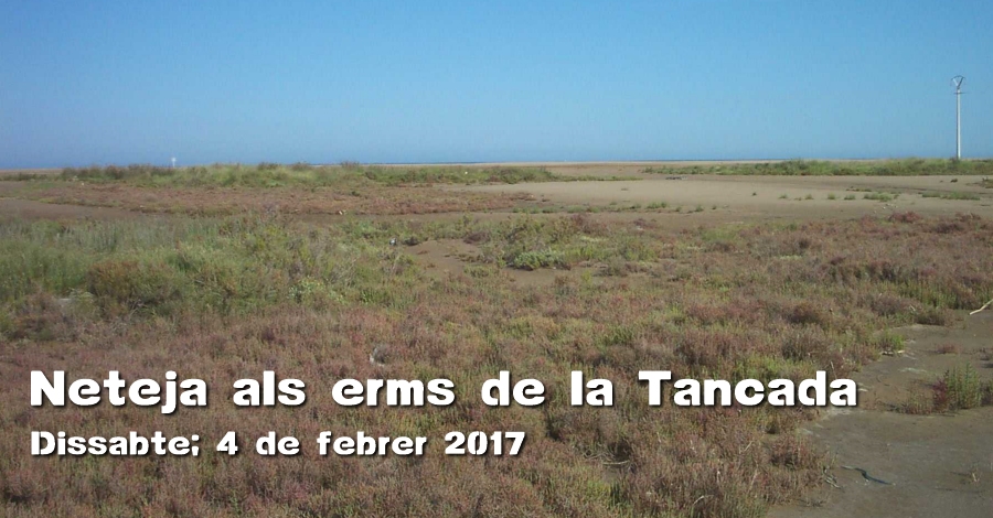 Limpieza Erms de la Tancada